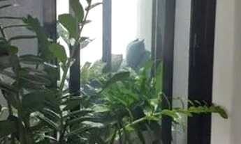 Imagem 5: CASA EM CONDOMÍNIO - CONDOMÍNIO PORTAL DA SERRA - SP