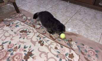 Imagem 5: Aluga-se casa no centro de sorocaba 3 cômodo