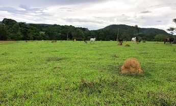 Imagem 5: Venda te chácara