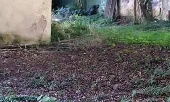 Imagem 3: TERRENO - CENTRO - SP