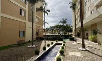 Imagem 2: Apartamento - Jardim Aurélia - Campinas