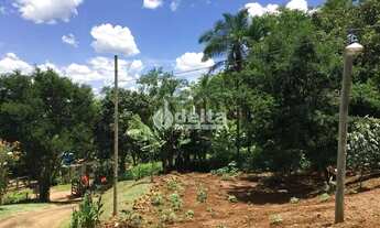 Imagem 7: Chácara à venda, 3 quartos, 1 suíte, 21 vagas, Área Rural de Uberlândia - Uberlândia/MG