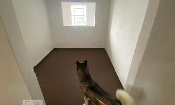 Imagem 6: Casa para Aluguel - Tijuca, 3 Quartos, 400 m2