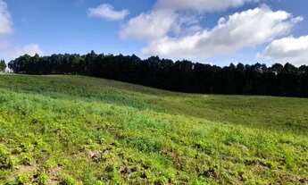 Imagem 3: Lote/Terreno para venda possui500 metros quadrados em Cotia - SP