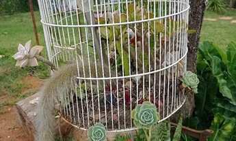 Imagem 2: Lote excelente , com paisagismo