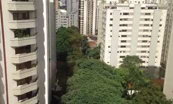Imagem 4: COMERCIAL - PARAÍSO - SP