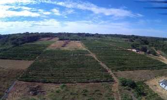 Imagem 4: Vende-se chácara de 2 alqueires