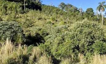 Imagem 4: Vendo chácaras Chácara com venda por R$80.000