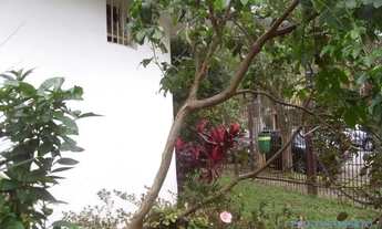 Imagem 6: CASA TÉRREA - ALTO DE PINHEIROS - SP