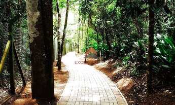 Imagem 6: Terreno à venda, 1157 m² por R$ 350.000,00 - Quinta dos Lagos - Paraibuna/SP