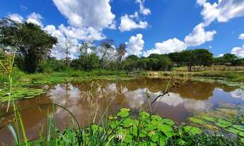 Imagem 7: Terrenos Financiados Riacho nos Fundos e Topografia Excelente