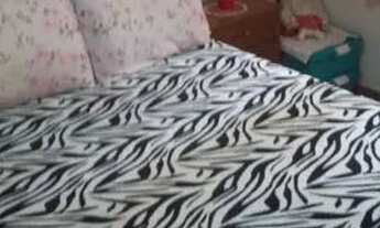 Imagem 3: Apartamento com 1 dorm, Ponta da Praia, Santos - R$ 390 mil, Cod: 3001818