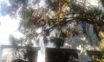 Imagem 2: SOBRADO - LAPA - SP