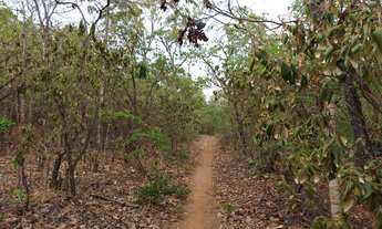 Imagem 3: . Uma Fazenda 148 alqueires 28 km de Santa Teresa TO