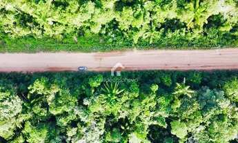 Imagem 6: Terreno 37000 m2 Ramal Ponte Preta Iranduba