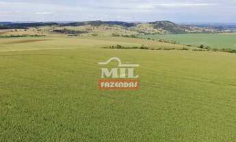 Imagem 2: Fazenda em Avelinopólis-GO (32 alqueires