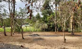 Imagem 2: Chácara na AM070 ramal do açutuba