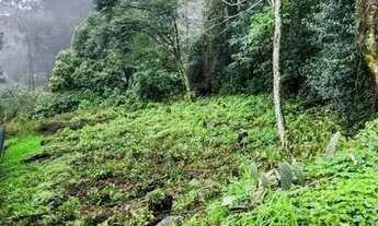 Imagem 6: Terreno para Venda em Nova Petrópolis, Centro