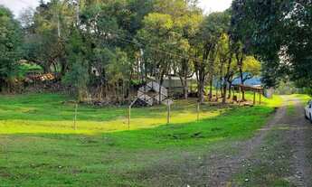 Imagem 6: Vendo chácara com 2 casa e muitas árvores frutíferas na Parada Crístal em Caxias do Sul