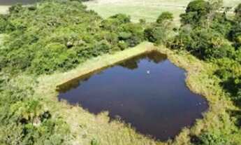 Imagem 5: Área Rural á venda com 55,37 hectares próximo a Tecnoshow de Rio Verde - Rio Verde - GO