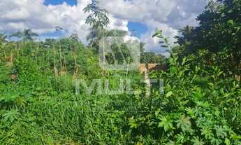 Imagem 2: Terreno - MORADA DOS PASSAROS