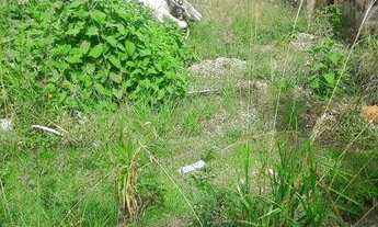 Imagem 5: Terreno comercial para locação, Alto da Lapa, São Paulo
