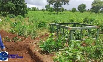 Imagem 3: Fazenda à Venda em São João dAliança (GO) 120 Alqueires