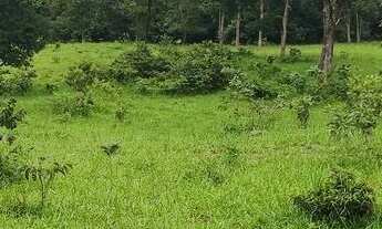 Imagem 2: Chácara em Pontalina