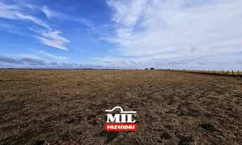 Imagem 4: FAZENDINHA PRODUTIVA COM 11 ALQUEIRES PROXIMO A GOIANIA