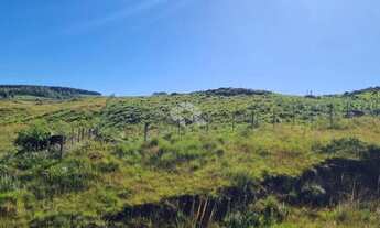 Imagem 2: ÁREA DE 5 HA DE TERRAS NA VARZEA DO CEDRO, SÃO FRANCISCO DE PAULA