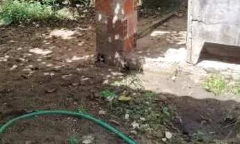 Imagem 6: Gt;Vendo Casa em Marituba no Decouville