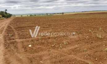 Imagem 7: área - Betel - Paulínia