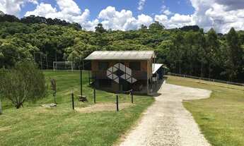 Imagem 3: Vendo chácara em Forqueta com 20000m2 por R$2.500.000.000,00. Com água, luz, internet e 4