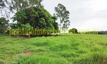 Imagem 6: Fazenda 20,0 alqueires em soja, ribeirão, Monte Alegre de Minas MG