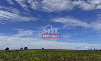 Imagem 6: Fazenda em Avelinopólis-GO (32 alqueires