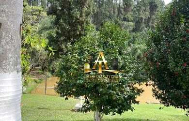 Imagem 8: Sítio de Porteira Fechada à Venda em Piedade/SP 7 Alqueires