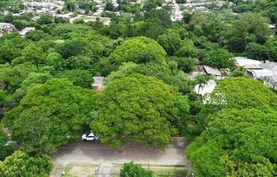 Imagem 7: Terreno à venda, Passo do Vigário - Viamão/RS