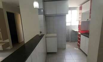 Imagem 6: Angélica Cristo Rei