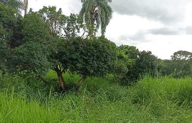 Imagem: Área rural 20000m2 em Ouro Verde só R$