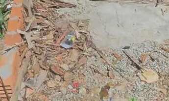 Imagem 4: Vendo terreno pq boa esperança