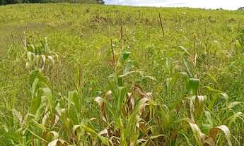 Imagem 5: Terrenos Planos de 1000m² em Ibiúna Conforto e Espaço Garantidos
