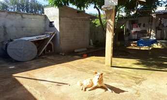 Imagem 3: Casa no Triunfo 3