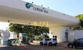 Imagem 2: Ampla Área com Gigantesco potencial, Vizinha CEASA, Tramontina, CD Novo Mundo