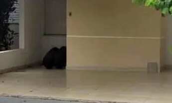 Imagem 2: Condomínio Mônaco, Venda, 118m², 4 quartos, R$ 550.000 - Parque das Nações, Cuiabá/MT REF