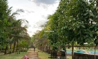 Imagem 5: Chácara 27.600 m² - TO-010 Km 14, Sentido Lajeado