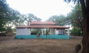 Imagem 7: Fazenda 40 hectares Bom Jesus da Lapa/Serra do Ramalho Bahia