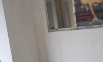 Imagem 3: Vendo Excelente Casa Na Cohab ao Lado do Mateus