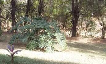 Imagem 4: Chácara para venda com 153m² construção com 3 dorm. em Chácara Primavera - Sumaré - SP