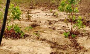 Imagem 4: Marcelo paredao 001