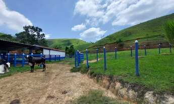 Imagem 7: Sitio de 40 Alqueires Estrada do Varadouro, SJC